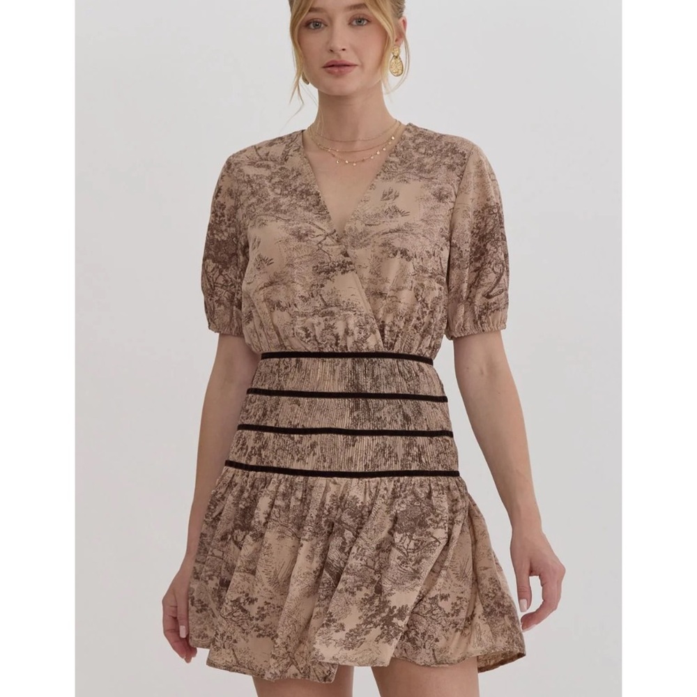 NWT Entro Cecily Toile Dress